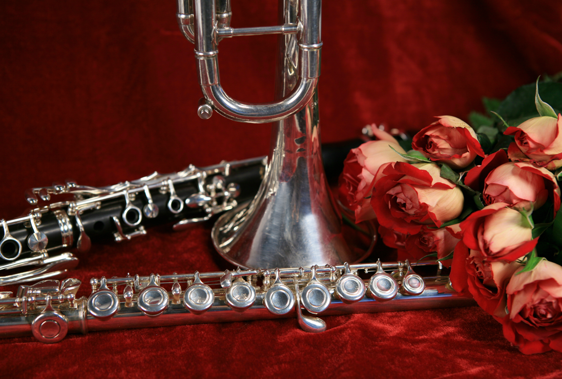 Флейта в цветах. Саксофон флейта кларнет. Кларнет труба и саксофон. Труба флейта кларнет саксофон. Дудочка, флейта, труба, саксофон, кларнет.